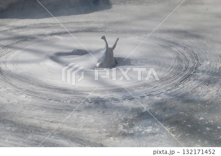 大地の芸術－別府・坊主地獄 132171452