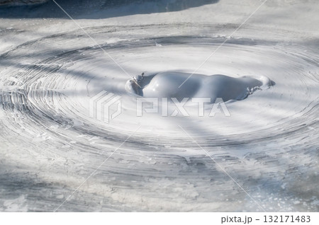 大地の芸術-別府・坊主地獄 大地の芸術-別府・坊主地獄 132171483