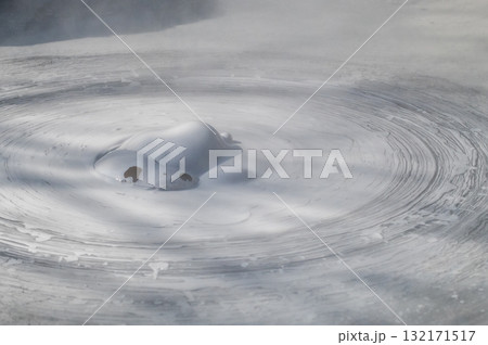 大地の芸術－別府・坊主地獄 132171517