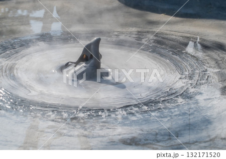 大地の芸術-別府・坊主地獄 大地の芸術-別府・坊主地獄 132171520