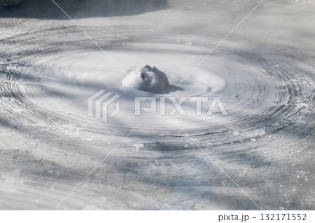 大地の芸術－別府・坊主地獄 132171552