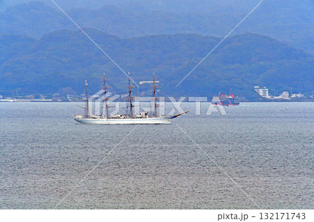 東京湾　浦賀水道　海技教育機構　海王丸　東京湾フェリー　しらはま丸 132171743