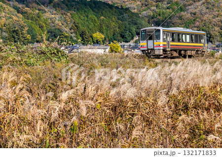 晩秋の姫新線　ススキの穂がなびく向こうを走る津山駅行き普通列車2　兵庫県佐用郡佐用町 132171833