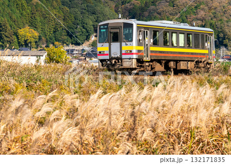 晩秋の姫新線　ススキの穂がなびく向こうを走る津山駅行き普通列車4　兵庫県佐用郡佐用町 132171835