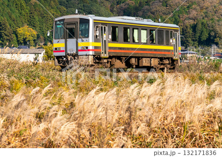 晩秋の姫新線　ススキの穂がなびく向こうを走る津山駅行き普通列車5　兵庫県佐用郡佐用町 132171836