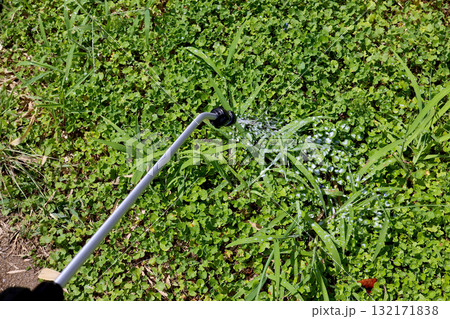 除草剤を散布する様子 132171838