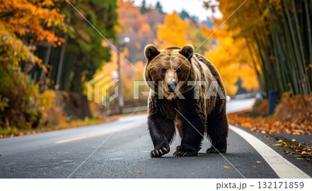 《AI画像》人里に降りて来た熊 132171859
