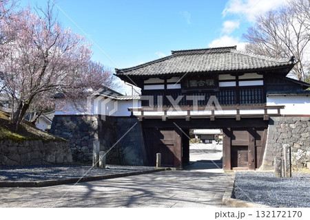 長野県　小諸城址懐古園の小諸城三の門と満開枝垂桜 132172170