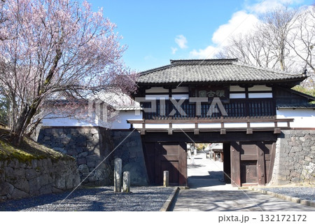長野県 小諸城址懐古園の小諸城三の門と満開枝垂桜 長野県 小諸城址懐古園の小諸城三の門と満開枝垂桜 132172172