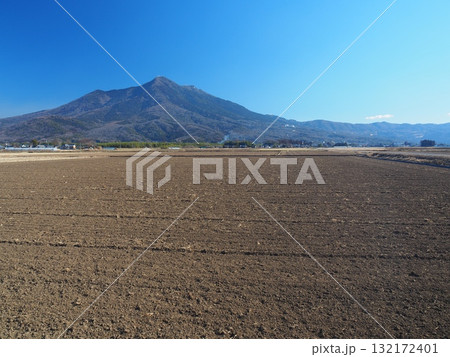 冬の田んぼと筑波山 132172401