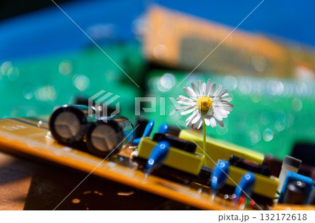 A daisy growing through a computer motherboard, energy consumption by artificial intelligence concept, environmental impacts A daisy growing through a computer motherboard, energy consumption by artificial intelligence concept, environmental impacts 132172618