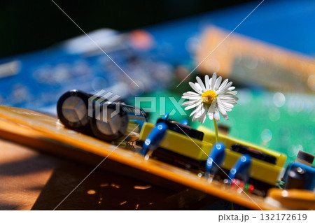 A daisy growing through a computer motherboard, energy consumption by artificial intelligence concept, environmental impacts 132172619