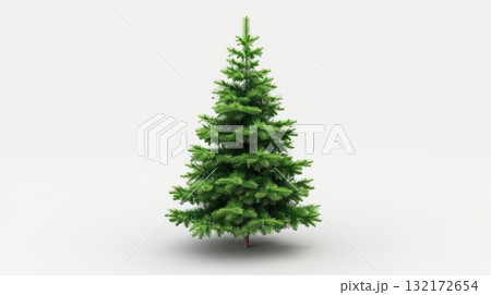 A green pine tree stands alone on a white background. Copy place. A green pine tree stands alone on a white background. Copy place. 132172654