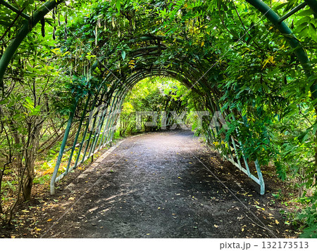 百合が原公園 132173513