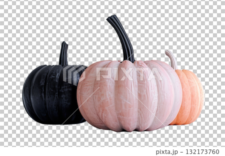 Minimalist pastel and black pumpkins on a white background. Copy place. 132173760