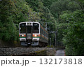 緑のトンネルを走るローカル列車 132173818