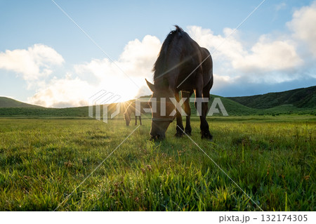 阿蘇の風景 132174305