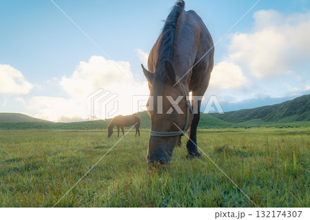 阿蘇の風景 132174307
