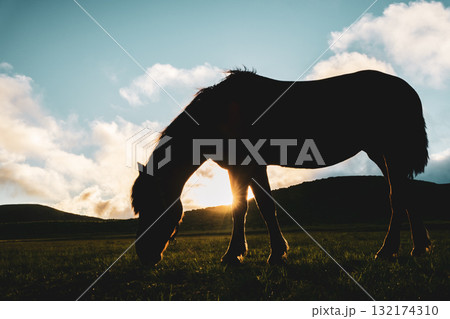 阿蘇の風景 阿蘇の風景 132174310