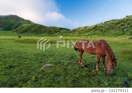 阿蘇の風景 阿蘇の風景 132174311