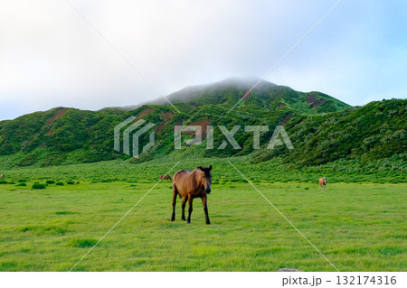 阿蘇の風景 阿蘇の風景 132174316
