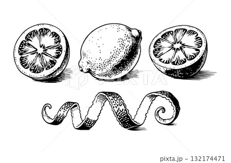 Whole lemon, cut lemon halves and spiral peel drawn in a detailed hand-drawn sketch style on a white background representing citrus freshness Whole lemon, cut lemon halves and spiral peel drawn in a detailed hand-drawn sketch style on a white background representing citrus freshness 132174471