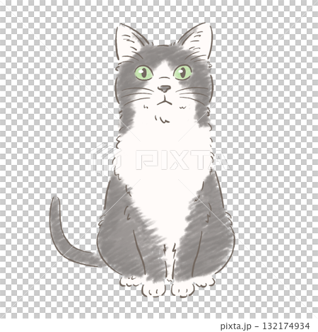 Sitting calico cat (hand-drawn style) 132174934
