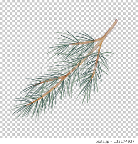 Green pine branch watercolor clipart, hand drawn with fine needle detail, great for Christmas packaging, eco stationery, natural pattern design, and winter-themed compositions 132174937