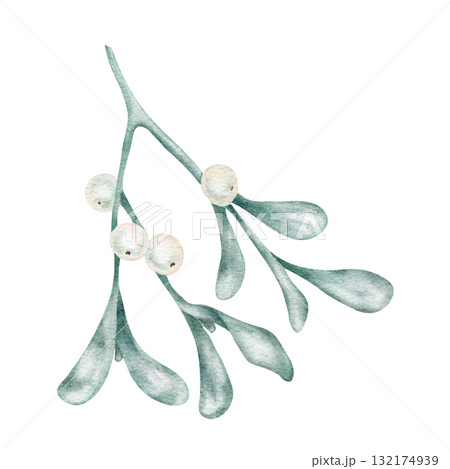 Watercolor mistletoe with soft green leaves and white berries, hand drawn clipart for Christmas cards, romantic seasonal prints, textile design, and winter paper crafts 132174939