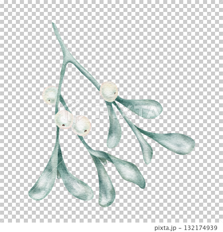 Watercolor mistletoe with soft green leaves and white berries, hand drawn clipart for Christmas cards, romantic seasonal prints, textile design, and winter paper crafts 132174939