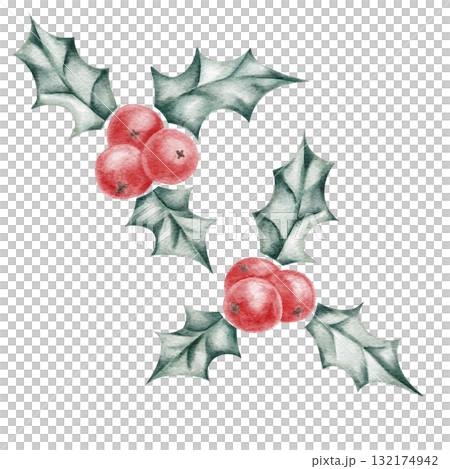 Holly leaves and red berries in bright green watercolor clipart, hand drawn for use in Christmas cards, stickers, pattern design, packaging, and decorative winter illustrations 132174942