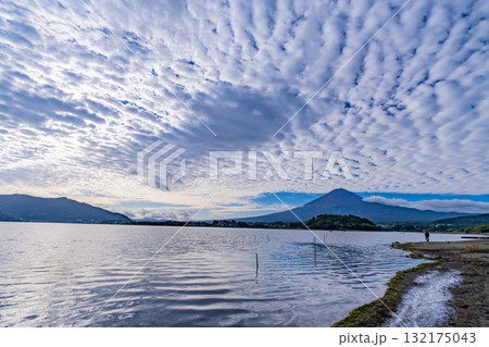 【山梨県】水位が下がった河口湖の湖畔から見る富士山　早朝 132175043