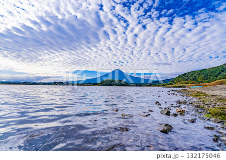 【山梨県】水位が下がった河口湖の湖畔から見る富士山　早朝 132175046