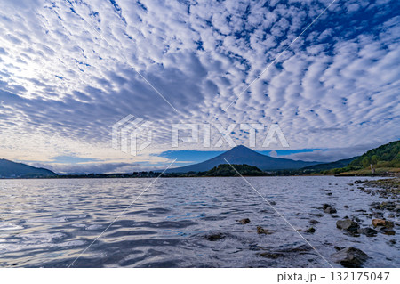 【山梨県】水位が下がった河口湖の湖畔から見る富士山 早朝 【山梨県】水位が下がった河口湖の湖畔から見る富士山 早朝 132175047