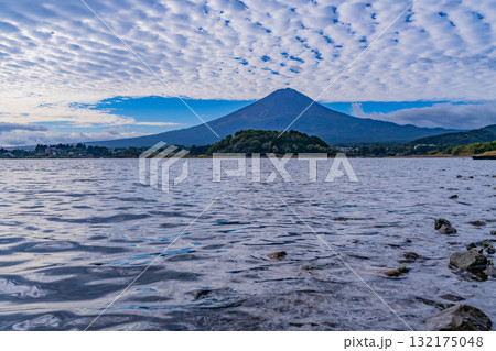 【山梨県】水位が下がった河口湖の湖畔から見る富士山 早朝 【山梨県】水位が下がった河口湖の湖畔から見る富士山 早朝 132175048