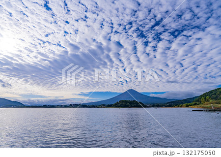 【山梨県】水位が下がった河口湖の湖畔から見る富士山　早朝 132175050