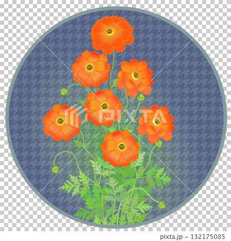 Illustration of yellow cosmos with circular background Illustration of yellow cosmos with circular background 132175085