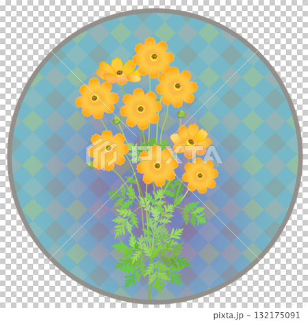 Illustration of yellow cosmos with circular background 132175091