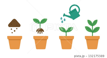 Flat icon set of plant growth stages in flower pots showing planting steps from soil and seedling to watering and sprouting leaves. gardening process, eco farming, plant care cycle, white background. 132175389