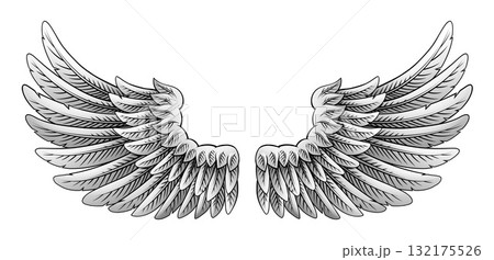 Angel Eagle Pegasus Feather Wings Illustration Angel Eagle Pegasus Feather Wings Illustration 132175526