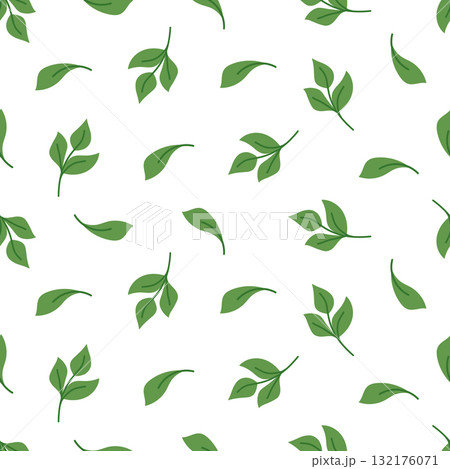 Seamless pattern of green leaves on a white background. Vector minimalistic illustration of plants. The botanical natural background. Seamless pattern of green leaves on a white background. Vector minimalistic illustration of plants. The botanical natural background. 132176071