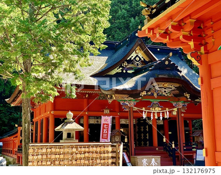 絢爛豪華な拝殿〈六所神社/愛知県岡崎市〉 絢爛豪華な拝殿〈六所神社/愛知県岡崎市〉 132176975