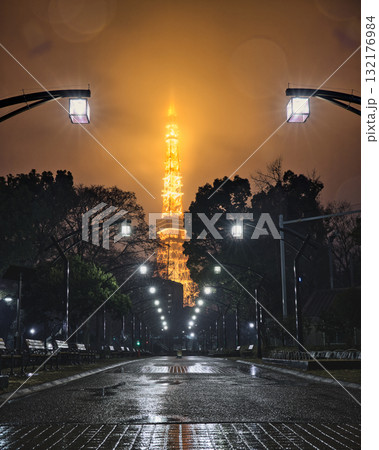 雨に濡れる東京タワー-芝公園から望む幻想的な夜景 132176984