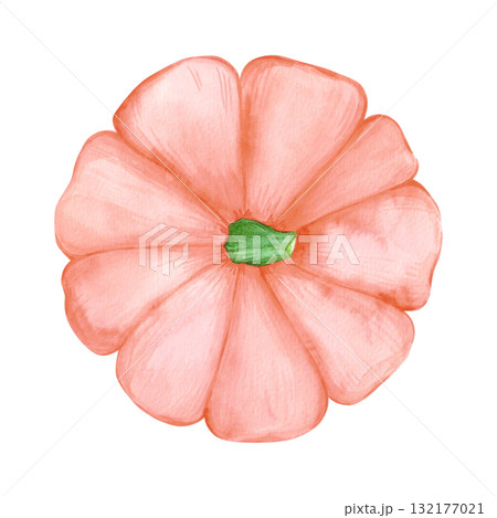 Hand drawn watercolor orange pumpkin. Autumn illustration isolated on white background. Can be used for postcard, label and other printed products. Hand drawn watercolor orange pumpkin. Autumn illustration isolated on white background. Can be used for postcard, label and other printed products. 132177021