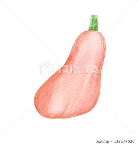 Hand drawn watercolor orange pumpkin. Autumn illustration isolated on white background. Can be used for postcard, label and other printed products. 132177026