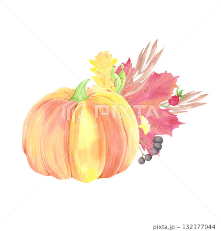 Hand drawn watercolor pumpkin berries and leaves composition. Illustration of ripe vegetable isolated on white background. Can be used for card scrapbook label and other printed products. Hand drawn watercolor pumpkin berries and leaves composition. Illustration of ripe vegetable isolated on white background. Can be used for card scrapbook label and other printed products. 132177044