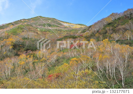 紅葉のピークを迎えた山 紅葉のピークを迎えた山 132177071