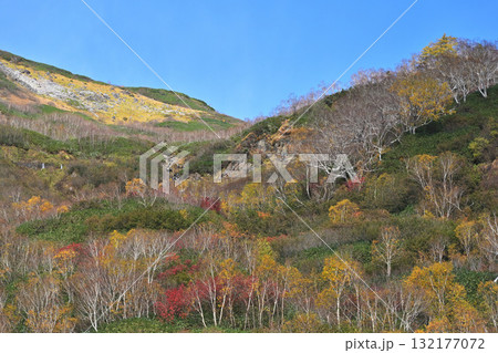 秋の奥日光の美しい紅葉 秋の奥日光の美しい紅葉 132177072