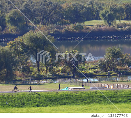 浮間ゴルフ場近くの池：フナ池（埼玉県川口市） 132177768
