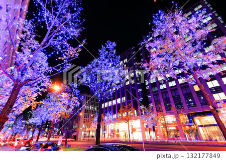 【大阪府】御堂筋イルミネーション 132177849